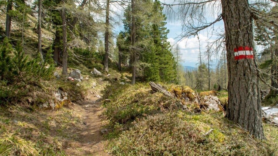 Mountain Hike Nazogel und Angerkogel - Touren-Impression #2.13 | © TV Gesäuse