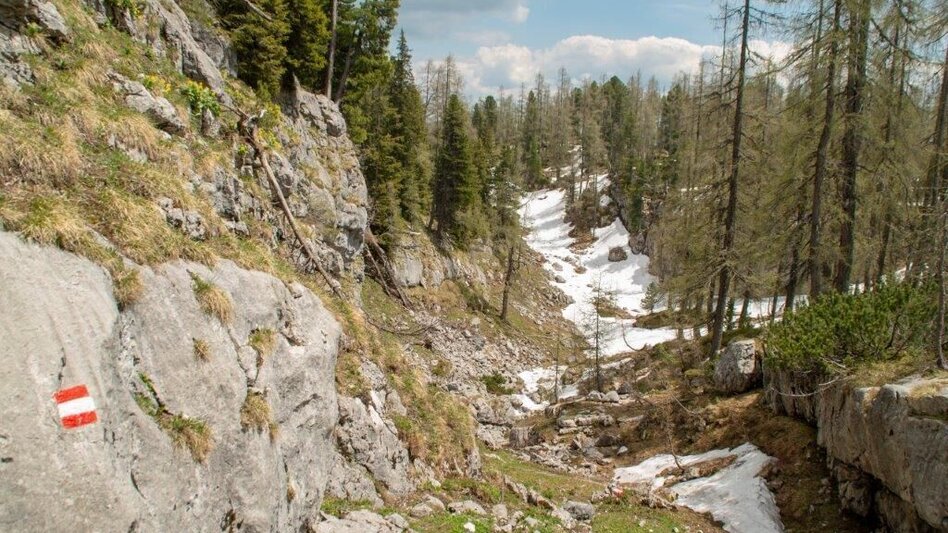 Mountain Hike Nazogel und Angerkogel - Touren-Impression #2.14 | © TV Gesäuse