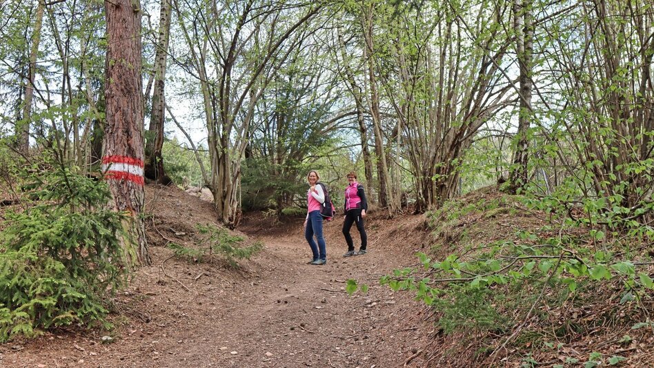 Wanderung Kumpitzer Rundwanderweg - Touren-Impression #2.2 | © Weges OG