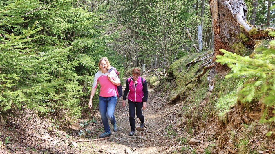 Wanderung Kumpitzer Rundwanderweg - Touren-Impression #2.6 | © Weges OG