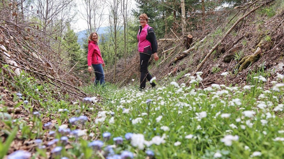 Wanderung Kumpitzer Rundwanderweg - Touren-Impression #2.10 | © Weges OG