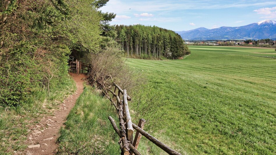 Wanderung Kumpitzer Rundwanderweg - Touren-Impression #2.13 | © Weges OG