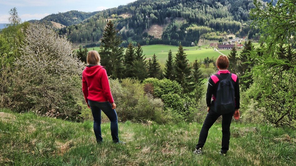 Wanderung Kumpitzer Rundwanderweg - Touren-Impression #2.14 | © Weges OG