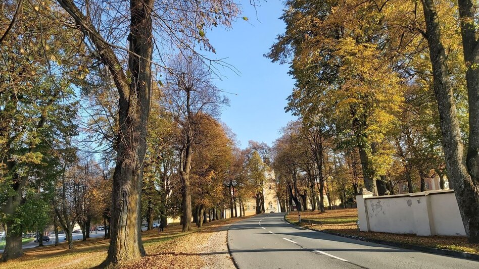 Bike Riding Abbey view tour, Vorau - Touren-Impression #2.2 | © Oststeiermark Tourismus