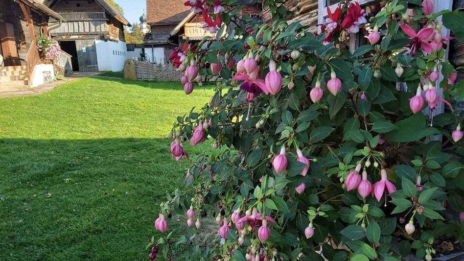 Bike Riding Abbey view tour, Vorau - Touren-Impression #2.7 | © Oststeiermark Tourismus