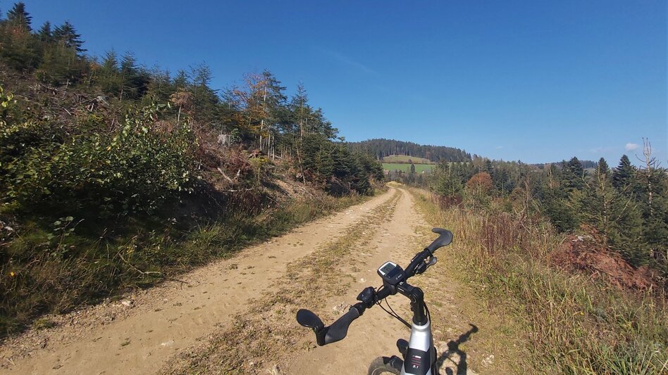Bike Riding Abbey view tour, Vorau - Touren-Impression #2.9 | © Oststeiermark Tourismus