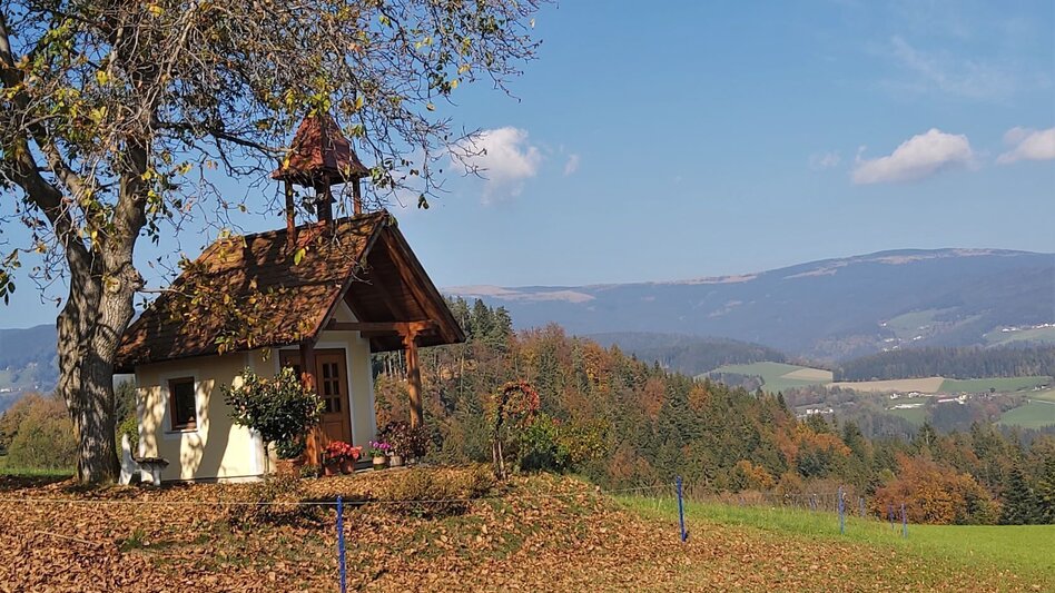 Bike Riding Abbey view tour, Vorau - Touren-Impression #2.10 | © Oststeiermark Tourismus