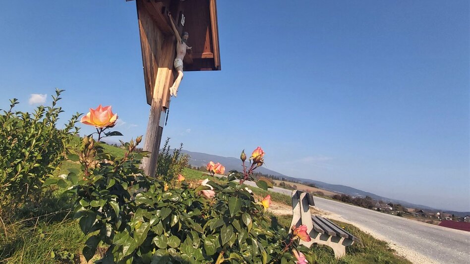 Bike Riding Abbey view tour, Vorau - Touren-Impression #2.11 | © Oststeiermark Tourismus