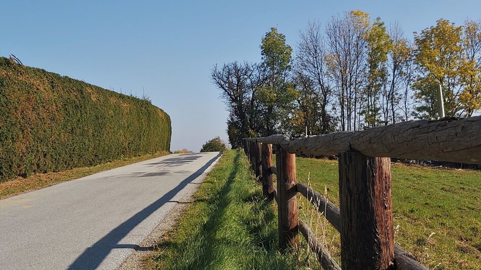 Bike Riding Abbey view tour, Vorau - Touren-Impression #2.13 | © Oststeiermark Tourismus