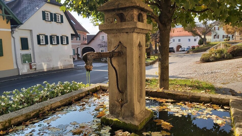 Bike Riding Abbey view tour, Vorau - Touren-Impression #2.14 | © Oststeiermark Tourismus