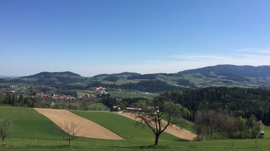 Bike Riding Abbey view tour, Vorau - Touren-Impression #2.8 | © Oststeiermark Tourismus