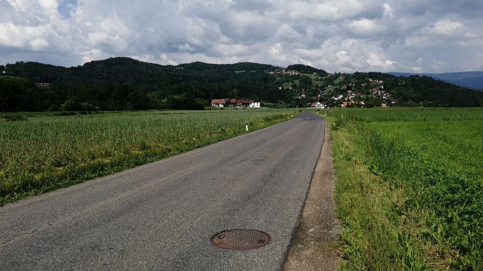 Jogging Schilcherlauf - Touren-Impression #2.1 | © Schilcherland Steiermark