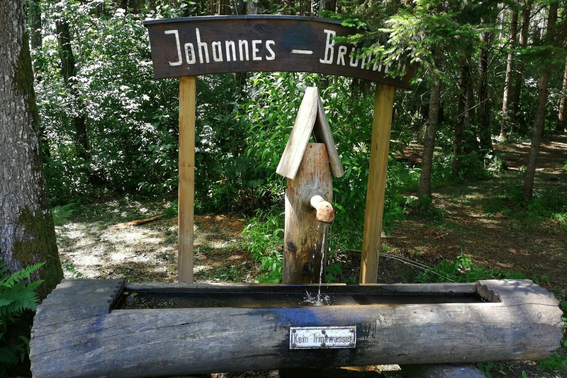 Jogging Schilcherberg run - Touren-Impression #1 | © Schilcherland Steiermark