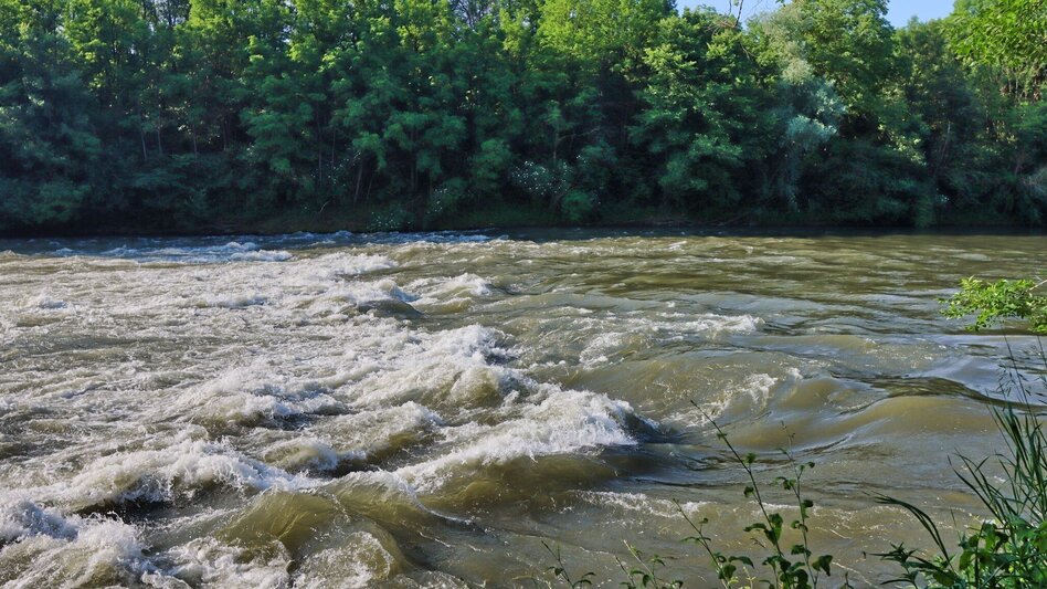 Wanderung Von Mureck entlang der Auen zur Schiffsmühle und zum Murturm - Touren-Impression #2.2 | © Thermen- & Vulkanland