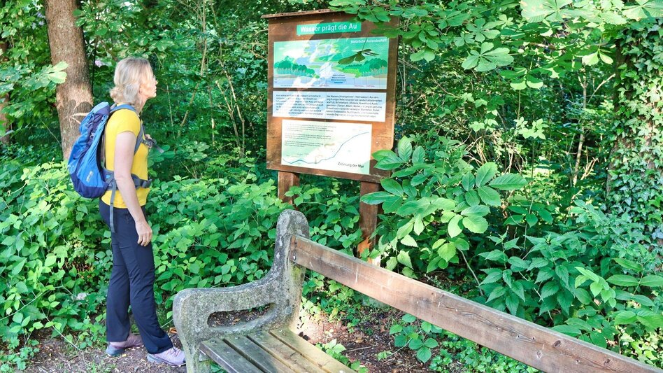Wanderung Von Mureck entlang der Auen zur Schiffsmühle und zum Murturm - Touren-Impression #2.5 | © Thermen- & Vulkanland