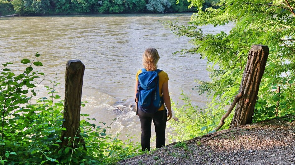 Wanderung Von Mureck entlang der Auen zur Schiffsmühle und zum Murturm - Touren-Impression #2.6 | © Thermen- & Vulkanland