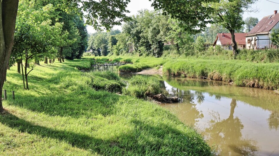 Wanderung Von Mureck entlang der Auen zur Schiffsmühle und zum Murturm - Touren-Impression #2.14 | © Thermen- & Vulkanland