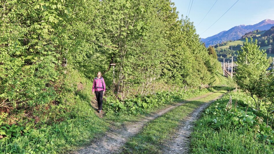 Hiking route Großer Schober - Touren-Impression #2.2 | © Weges OG