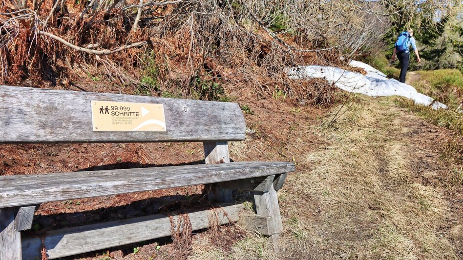 Hiking route Großer Schober - Touren-Impression #2.10 | © Weges OG