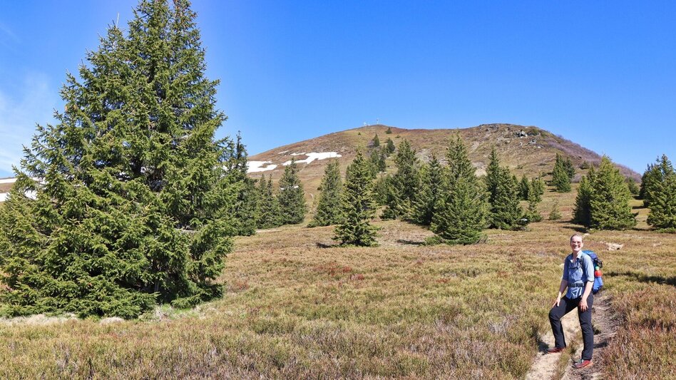 Hiking route Großer Schober - Touren-Impression #2.11 | © Weges OG