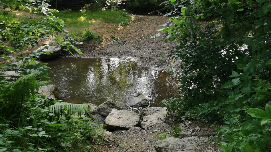 Jogging Bründlwald run - Touren-Impression #2.3 | © Südsteiermark