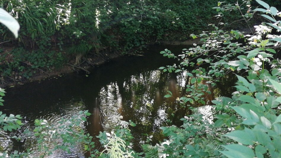 Jogging Bründlwald run - Touren-Impression #2.5 | © Südsteiermark