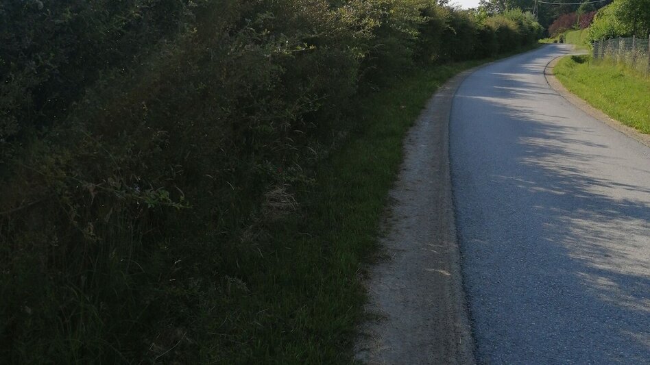 Jogging Bründlwald run - Touren-Impression #2.6 | © Südsteiermark