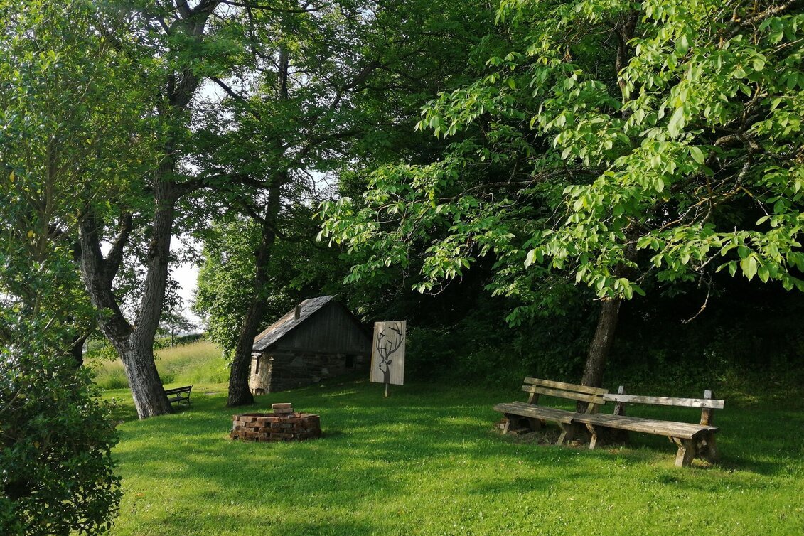 Jogging Bründlwald run - Touren-Impression #1 | © Südsteiermark