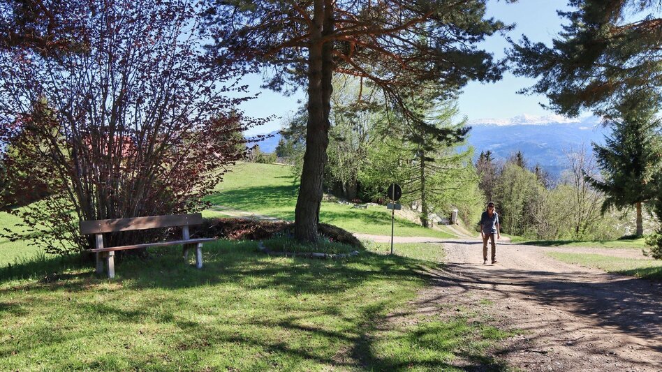 Wanderung Ruinen-Rundwanderweg - Touren-Impression #2.3 | © Weges OG