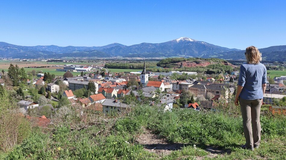 Wanderung Ruinen-Rundwanderweg - Touren-Impression #2.6 | © Weges OG