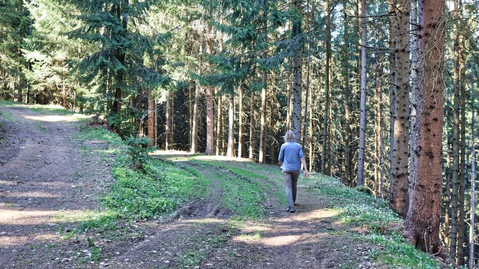 Wanderung Ruinen-Rundwanderweg - Touren-Impression #2.7 | © Weges OG