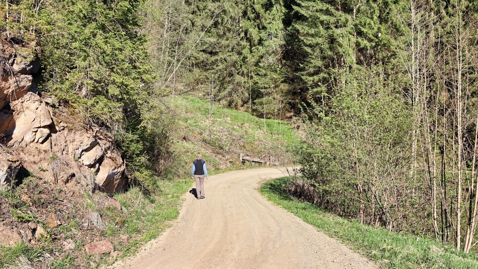 Wanderung Ruinen-Rundwanderweg - Touren-Impression #2.8 | © Weges OG