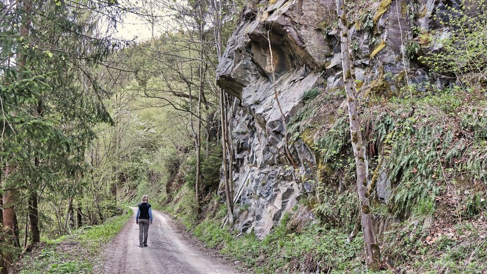 Wanderung Ruinen-Rundwanderweg - Touren-Impression #2.9 | © Weges OG