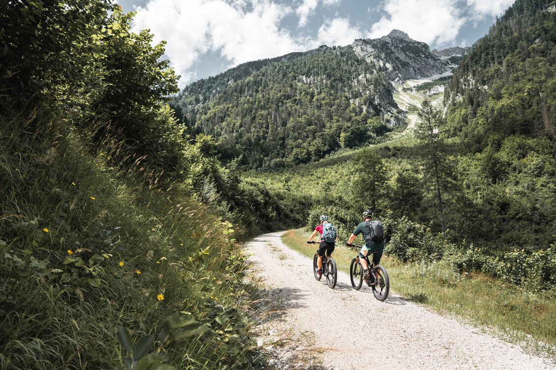 Mountain Biking Trans Nationalpark Et 06 (Mooslandl-Johnsbach) - Touren-Impression #1 | © TV Gesäuse
