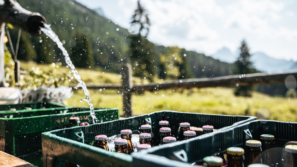 Mountain Biking Trans Nationalpark Et 06 (Mooslandl-Johnsbach) - Touren-Impression #2.5 | © TV Gesäuse