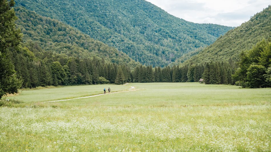 Mountain Biking Trans Nationalpark Et 01 (Steyr-Reichramming) - Touren-Impression #2.10 | © TV Gesäuse