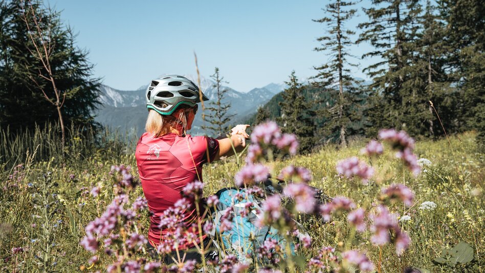 Mountainbike Etappe 05 Trans Nationalpark Palfau - Mooslandl - Touren-Impression #2.2 | © TV Gesäuse