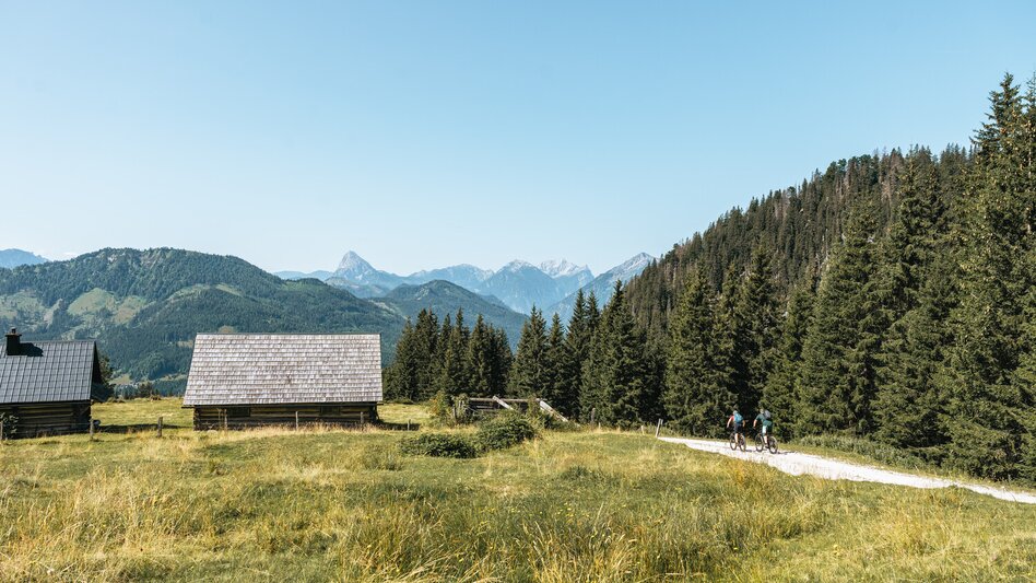 Mountainbike Etappe 05 Trans Nationalpark Palfau - Mooslandl - Touren-Impression #2.5 | © TV Gesäuse