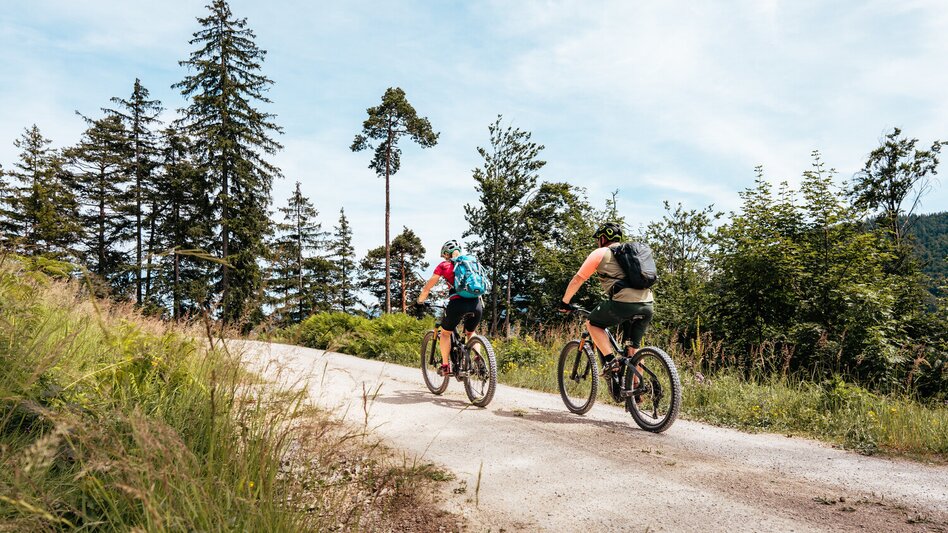 Mountain Biking Trans Nationalpark Et 04 (St.Gallen-Palfau) - Touren-Impression #2.4 | © TV Gesäuse