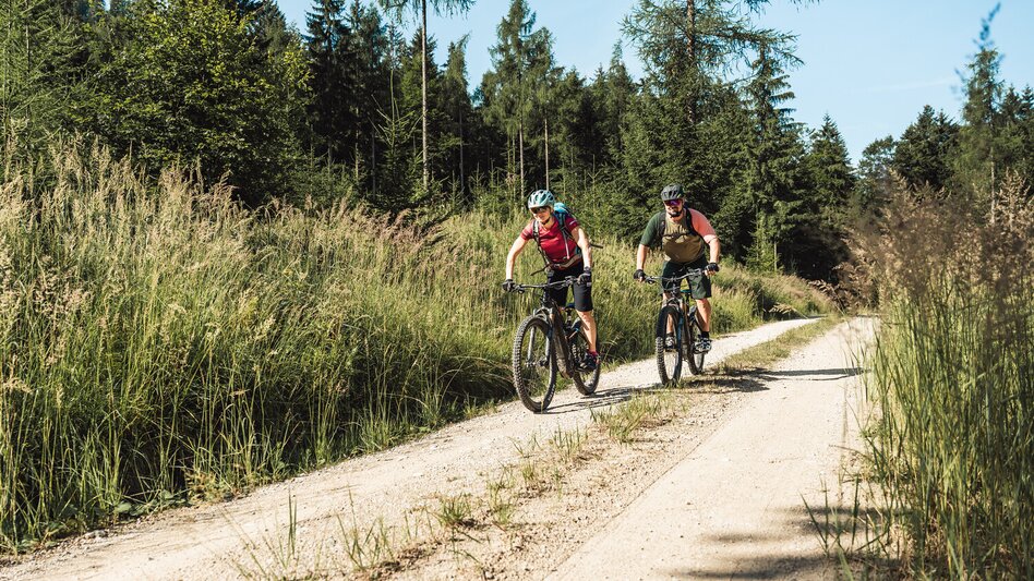 Mountain Biking Trans Nationalpark Et 04 (St.Gallen-Palfau) - Touren-Impression #2.6 | © TV Gesäuse