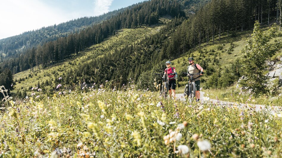 Mountain Biking Trans Nationalpark Et 04 (St.Gallen-Palfau) - Touren-Impression #2.11 | © TV Gesäuse