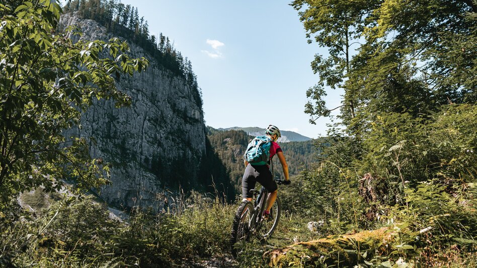 Mountainbike Etappe 02 Trans Nationalpark Reichraming - Windischgarsten - Touren-Impression #2.7 | © TV Gesäuse