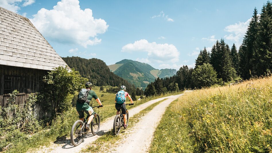 Mountainbike Etappe 03 Trans Nationalpark Windischgarsten - St. Gallen - Touren-Impression #2.4 | © TV Gesäuse