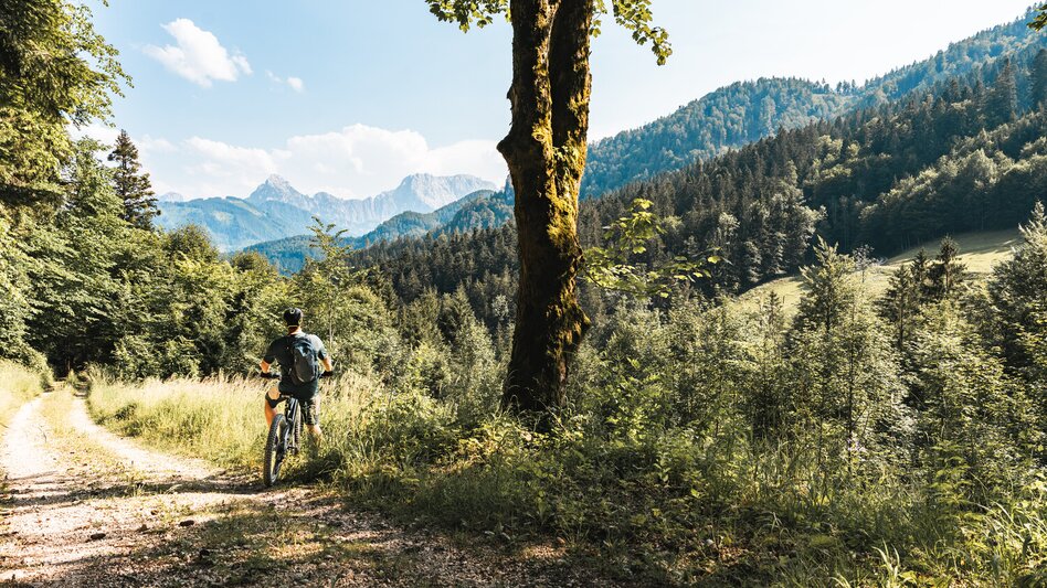 Mountainbike Etappe 03 Trans Nationalpark Windischgarsten - St. Gallen - Touren-Impression #2.8 | © TV Gesäuse