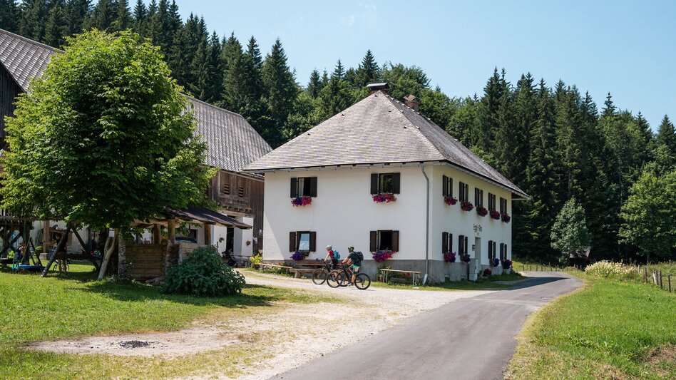 Mountainbike Etappe 03 Trans Nationalpark Windischgarsten - St. Gallen - Touren-Impression #2.10 | © TV Gesäuse