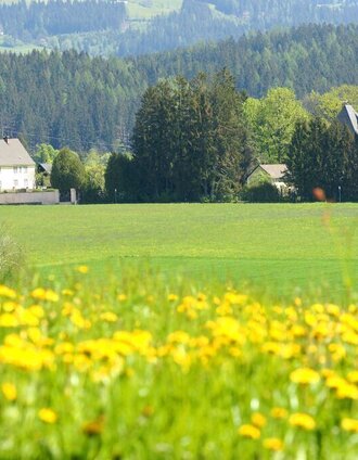 rennradtour seckau_img_60046108 | Manuela Machner | © Erlebnisregion Murtal