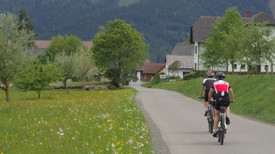 Road Cycling Road bike tour Pölstal - Touren-Impression #2.2 | © Erlebnisregion Murtal