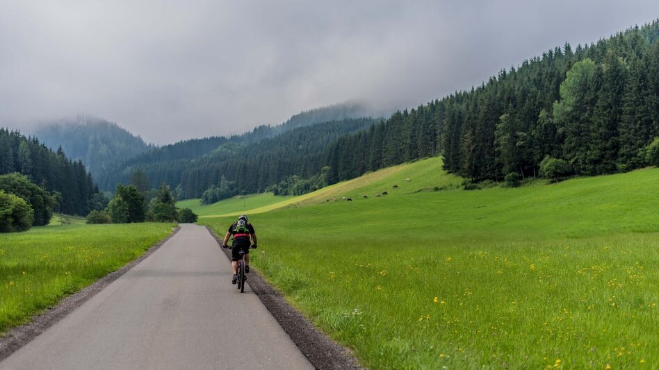 Road Cycling Road bike tour Pölstal - Touren-Impression #2.3 | © Erlebnisregion Murtal