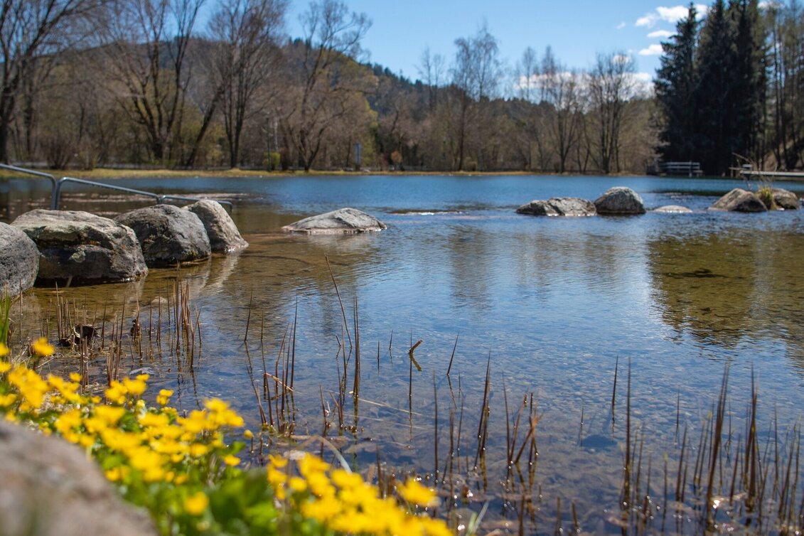 Road Cycling Road bike tour Pölstal - Touren-Impression #1 | © Erlebnisregion Murtal