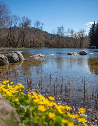Pölser Badeteich - Pölstal | Anita Fössl | © Erlebnisregion Murtal